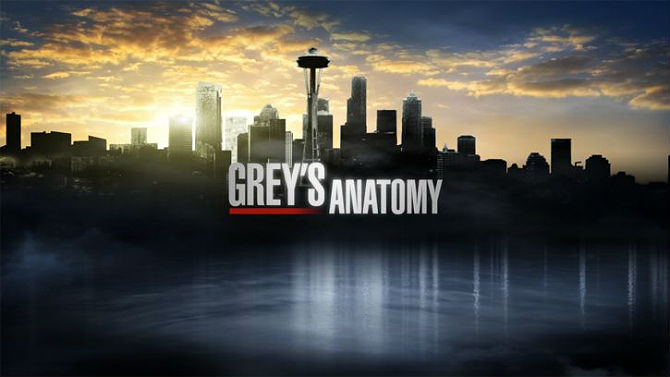 Resultado de imagem para sobre Greys Anatomy