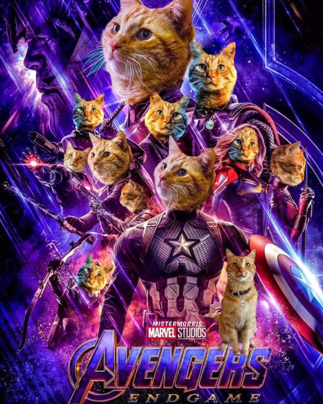 avengers-endgame-cat-all-goose-poster_marvel-twitter.jpg