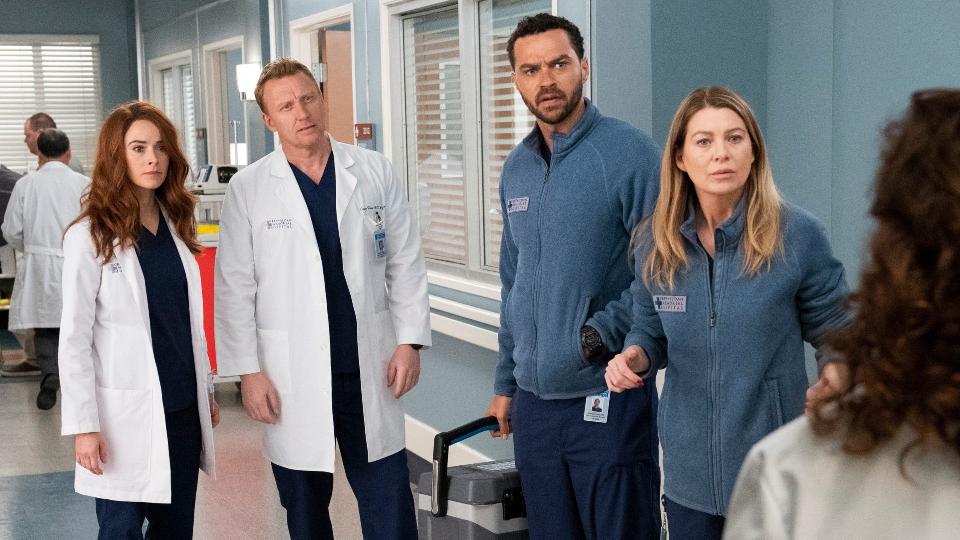 Grey's Anatomy: Todos os personagens que retornam na 16ª temporada1920 x 1080